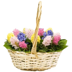 Цветы в корзине с гиацинтами